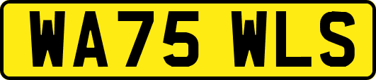 WA75WLS
