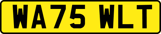 WA75WLT