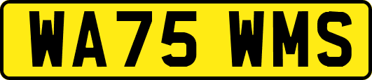WA75WMS