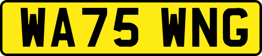 WA75WNG