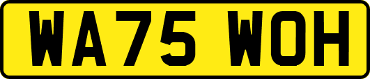 WA75WOH