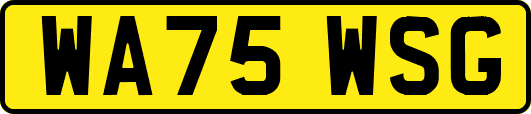 WA75WSG