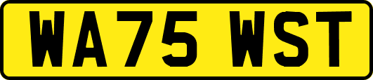 WA75WST