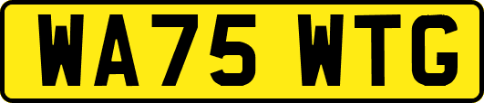 WA75WTG