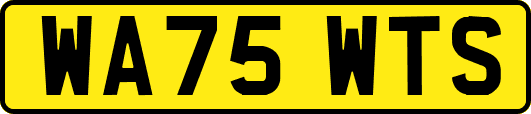 WA75WTS