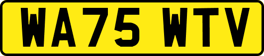 WA75WTV