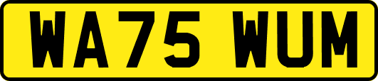 WA75WUM