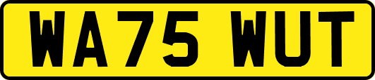 WA75WUT