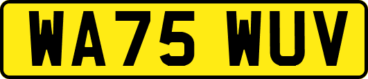 WA75WUV