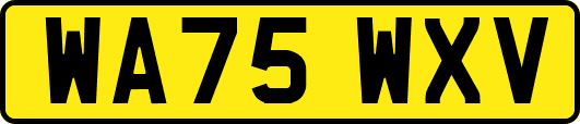 WA75WXV