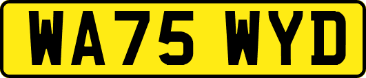 WA75WYD