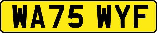 WA75WYF