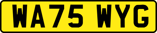 WA75WYG