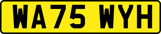 WA75WYH
