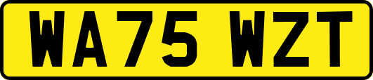 WA75WZT