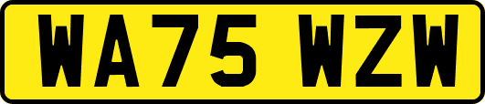 WA75WZW