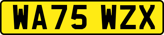 WA75WZX