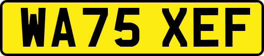 WA75XEF