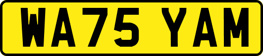 WA75YAM