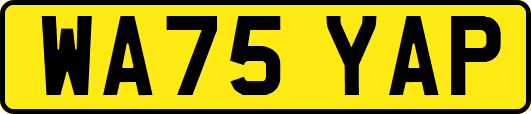 WA75YAP