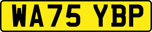 WA75YBP