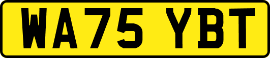 WA75YBT