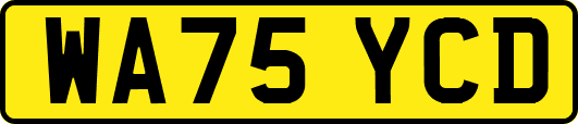 WA75YCD