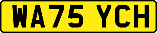 WA75YCH