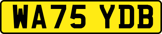 WA75YDB
