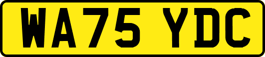 WA75YDC