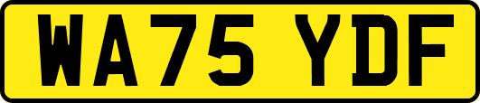 WA75YDF