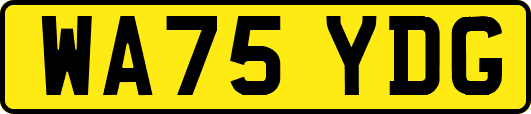WA75YDG