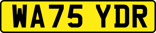 WA75YDR