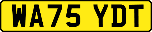 WA75YDT