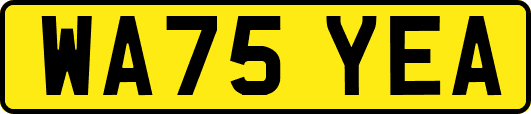 WA75YEA