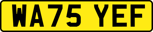 WA75YEF