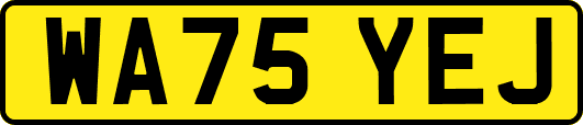 WA75YEJ