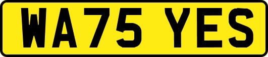 WA75YES