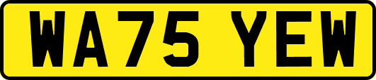 WA75YEW