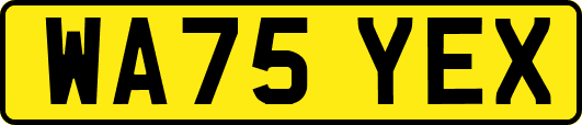WA75YEX