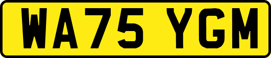 WA75YGM