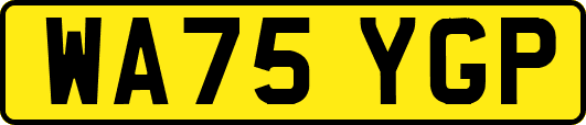 WA75YGP