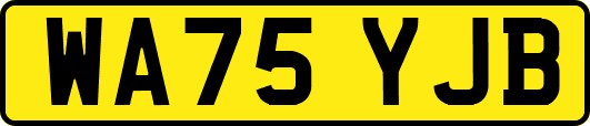 WA75YJB