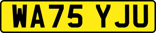 WA75YJU