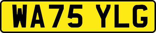 WA75YLG