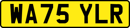 WA75YLR