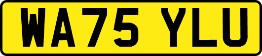 WA75YLU