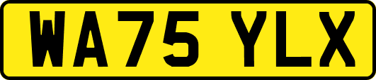 WA75YLX