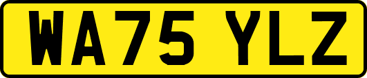WA75YLZ