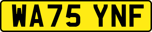 WA75YNF